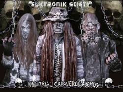 interview Elktronik Sciety